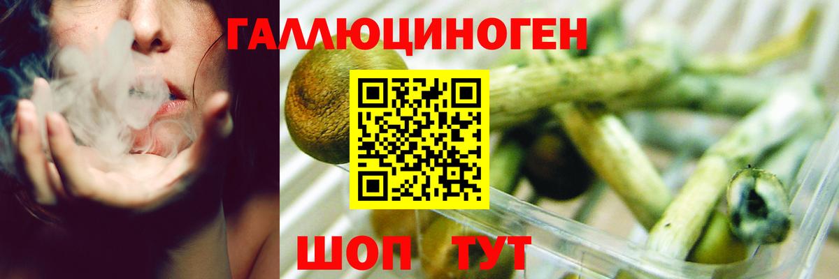 Галлюциногенные грибы MAGIC MUSHROOMS Карабулак